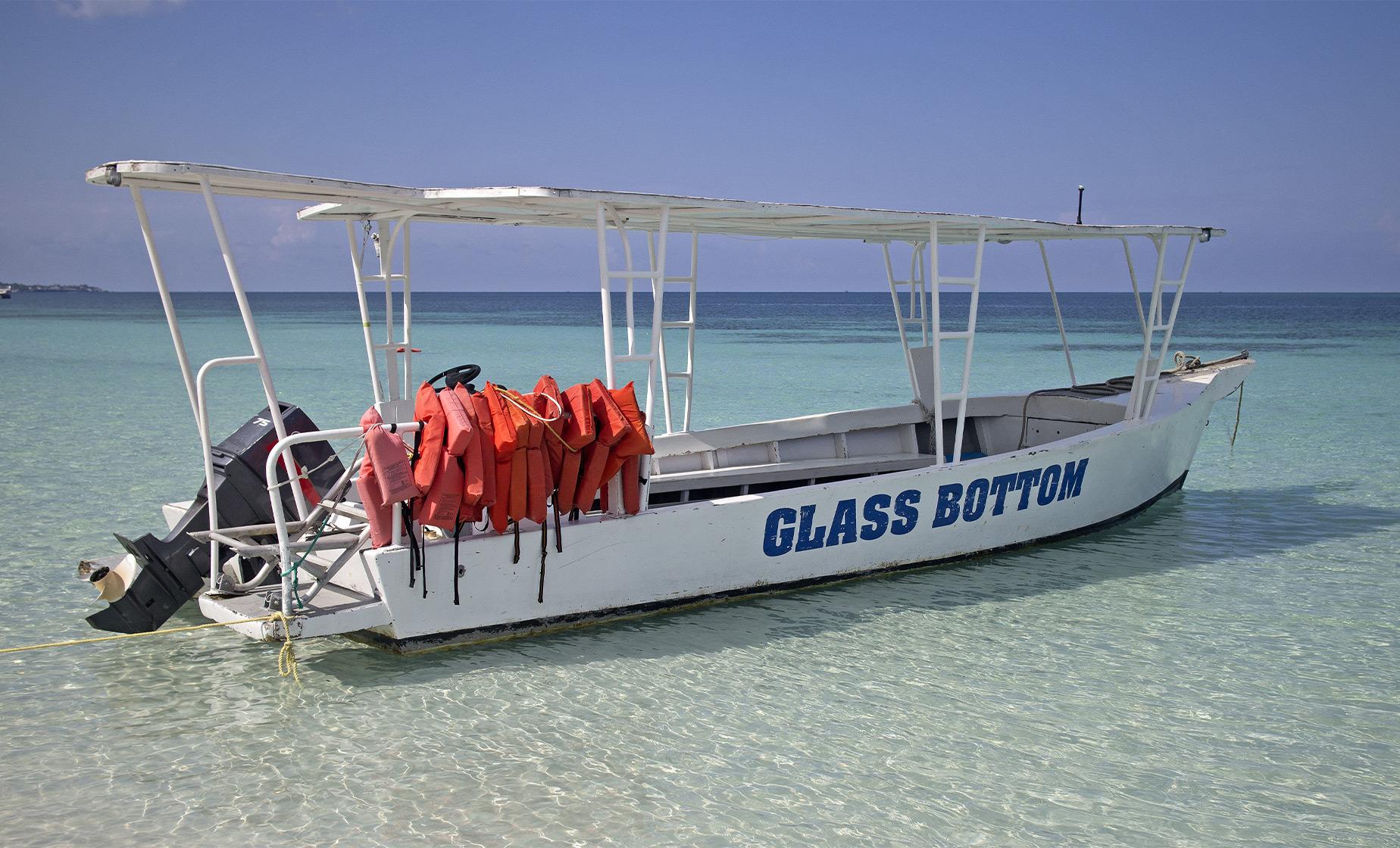 Glass Bottom