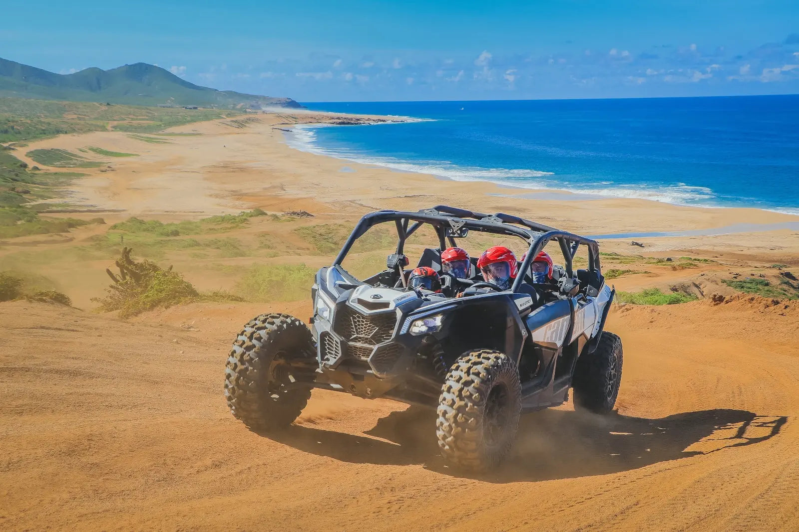Baja Beast